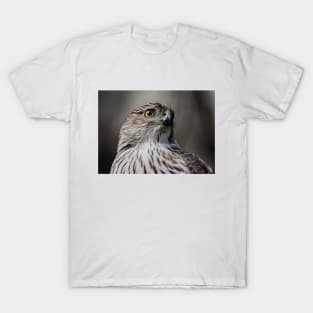 Coopers Hawk T-Shirt